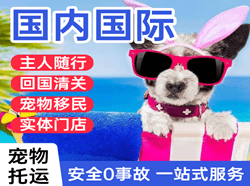 云冈航空邮寄国际宠物托运 【国